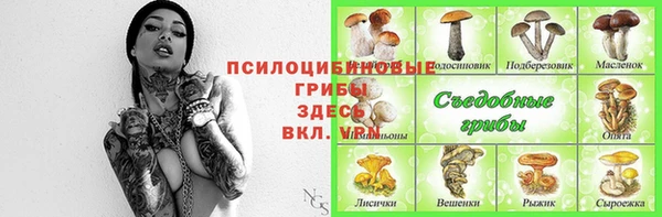 хмурый Арсеньев