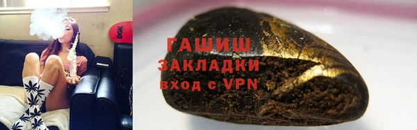 хмурый Арсеньев