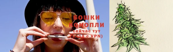 трава Аркадак