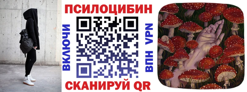 кракен маркетплейс  Малгобек  Псилоцибиновые грибы GOLDEN TEACHER  продажа наркотиков 
